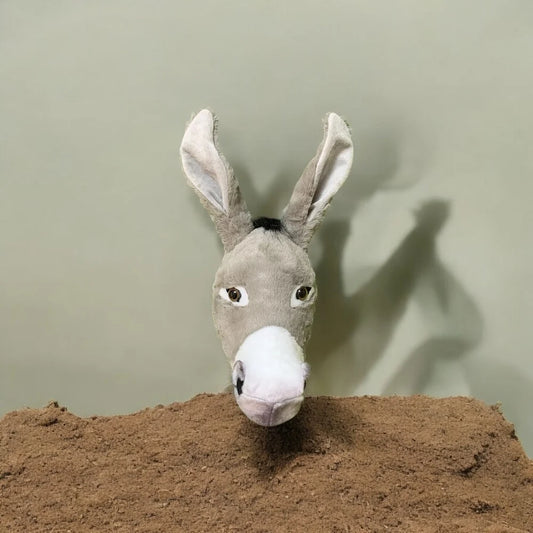 Sc6fb209d22424a77a35c4654aadaecf5t