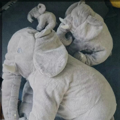 Sd5bb59f510b947d69e95fc86445b4c221