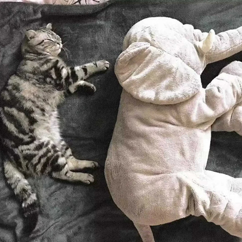 Sfbd229cfe0c34b3897a50333fd7b36728